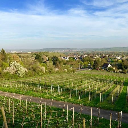 Das Apartment Am Weinberg Geisenheim Kültér fotó