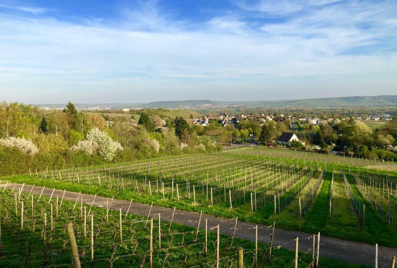 Das Apartment Am Weinberg Geisenheim Kültér fotó