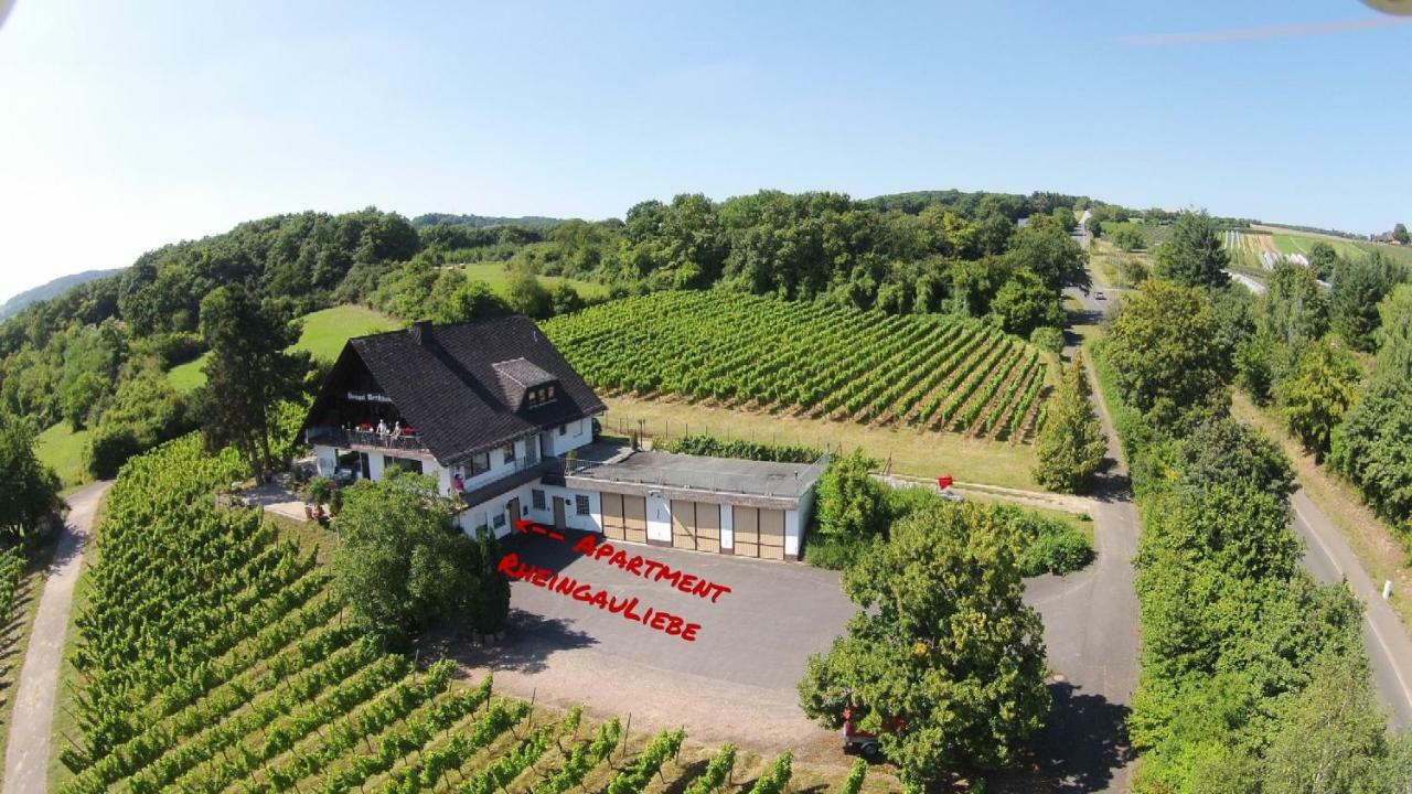 Das Apartment Am Weinberg Geisenheim Kültér fotó